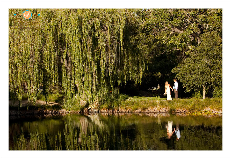 Wedding,photography