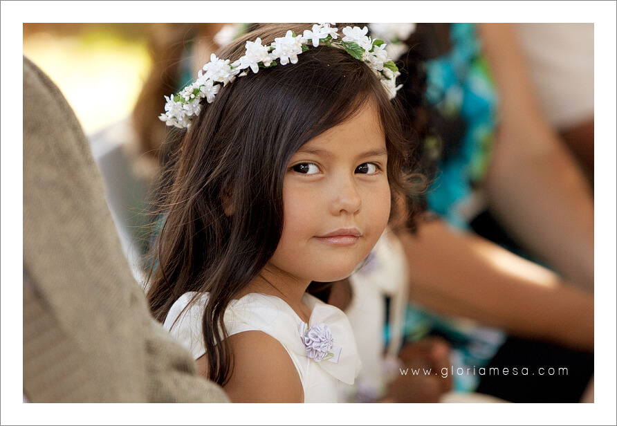 Premier, weddings, photography,