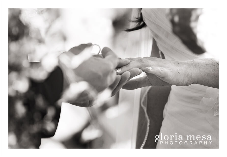 Indian Weddings, Jewish Weddings